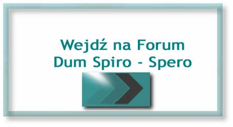 Wejd na forum